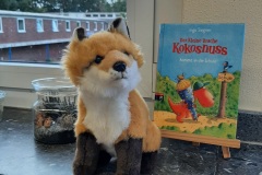 Fuchsklasse1