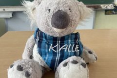 Koalaklasse