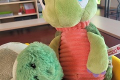 Schildkroete